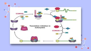 REGULATION OF PROTEIN SYNTHESIS IN RIBOSOMES.pptx