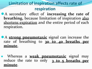 What Is Inspiration Rates regulationofrespiration-171116041636.pptx