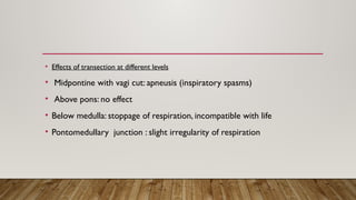 REGULATION OF RESPIRATION physiology notes | PPTX