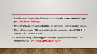 Po2 Pco2 Respiration REGULATION OF RESPIRATION physiology notes | PPTX