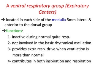 A ventral respiratory group (Expiratory
Centers)
→ located in each side of the medulla 5mm lateral &
anterior to the dorsal group
→functions:
1- inactive during normal quite resp.
2- not involved in the basic rhythmical oscillation
3- provides extra resp. drive when ventilation is
more than normal
4- contributes in both inspiration and respiration
 