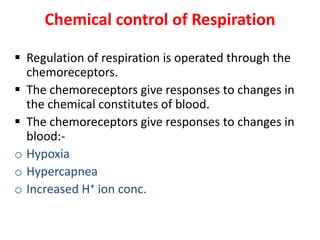 Chemical control of Respiration
▪ Regulation of respiration is operated through the
chemoreceptors.
▪ The chemoreceptors give responses to changes in
the chemical constitutes of blood.
▪ The chemoreceptors give responses to changes in
blood:-
o Hypoxia
o Hypercapnea
o Increased H⁺ ion conc.
 