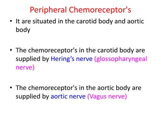 Peripheral Chemoreceptor's
• It are situated in the carotid body and aortic
body
• The chemoreceptor's in the carotid body are
supplied by Hering’s nerve (glossopharyngeal
nerve)
• The chemoreceptor's in the aortic body are
supplied by aortic nerve (Vagus nerve)
 