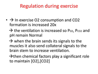 Regulation during exercise
• → In exercise O2 consumption and CO2
formation is increased 20x
→ the ventilation is increased so PO2, PCO2 and
pH remain Normal
→ when the brain sends its signals to the
muscles it also send collateral signals to the
brain stem to increase ventilation.
→then chemical factors play a significant role
to maintain [O2],[CO2]
 