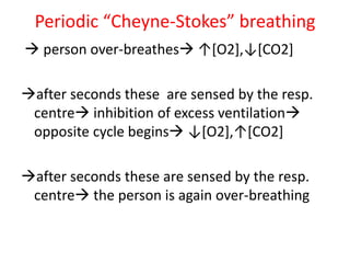 Periodic “Cheyne-Stokes” breathing
→ person over-breathes→ ↑[O2],↓[CO2]
→after seconds these are sensed by the resp.
centre→ inhibition of excess ventilation→
opposite cycle begins→ ↓[O2],↑[CO2]
→after seconds these are sensed by the resp.
centre→ the person is again over-breathing
 