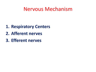 Nervous Mechanism
1. Respiratory Centers
2. Afferent nerves
3. Efferent nerves
 