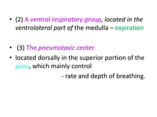 • (2) A ventral respiratory group, located in the
ventrolateral part of the medulla – expiration
• (3) The pneumotaxic center
• located dorsally in the superior portion of the
pons, which mainly control
- rate and depth of breathing.
 