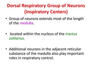 Dorsal Respiratory Group of Neurons
(Inspiratory Centers)
• Group of neurons extends most of the length
of the medulla.
• located within the nucleus of the tractus
solitarius.
• Additional neurons in the adjacent reticular
substance of the medulla also play important
roles in respiratory control.
 