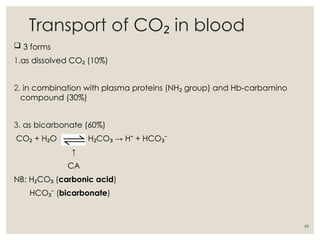 REGULATION OF RESPIRATION lecture note 200L [Autosaved]-1-1.ppt