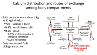 REGULATION OF SECRETION & FUNCTION OF PARATHYROID HORMONE & BONE ...