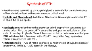 REGULATION OF SECRETION & FUNCTION OF PARATHYROID HORMONE & BONE ...