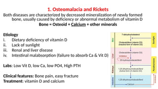 REGULATION OF SECRETION & FUNCTION OF PARATHYROID HORMONE & BONE ...
