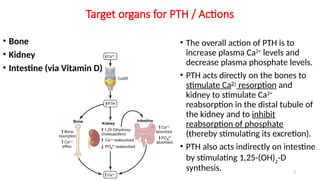 REGULATION OF SECRETION & FUNCTION OF PARATHYROID HORMONE & BONE ...