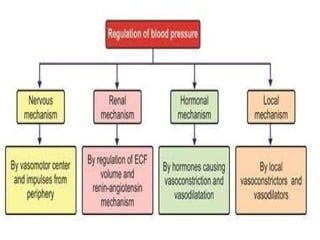 Regulation of Systemic Blood Pressure.pptx