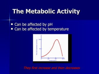 The Metabolic Activity Can be affected by pH  Can be affected by temperature They first increase and then decreases 