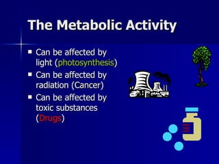 The Metabolic Activity Can be affected by light ( photosynthesis ) Can be affected by radiation ( Cancer ) Can be affected by toxic substances ( Drugs ) 