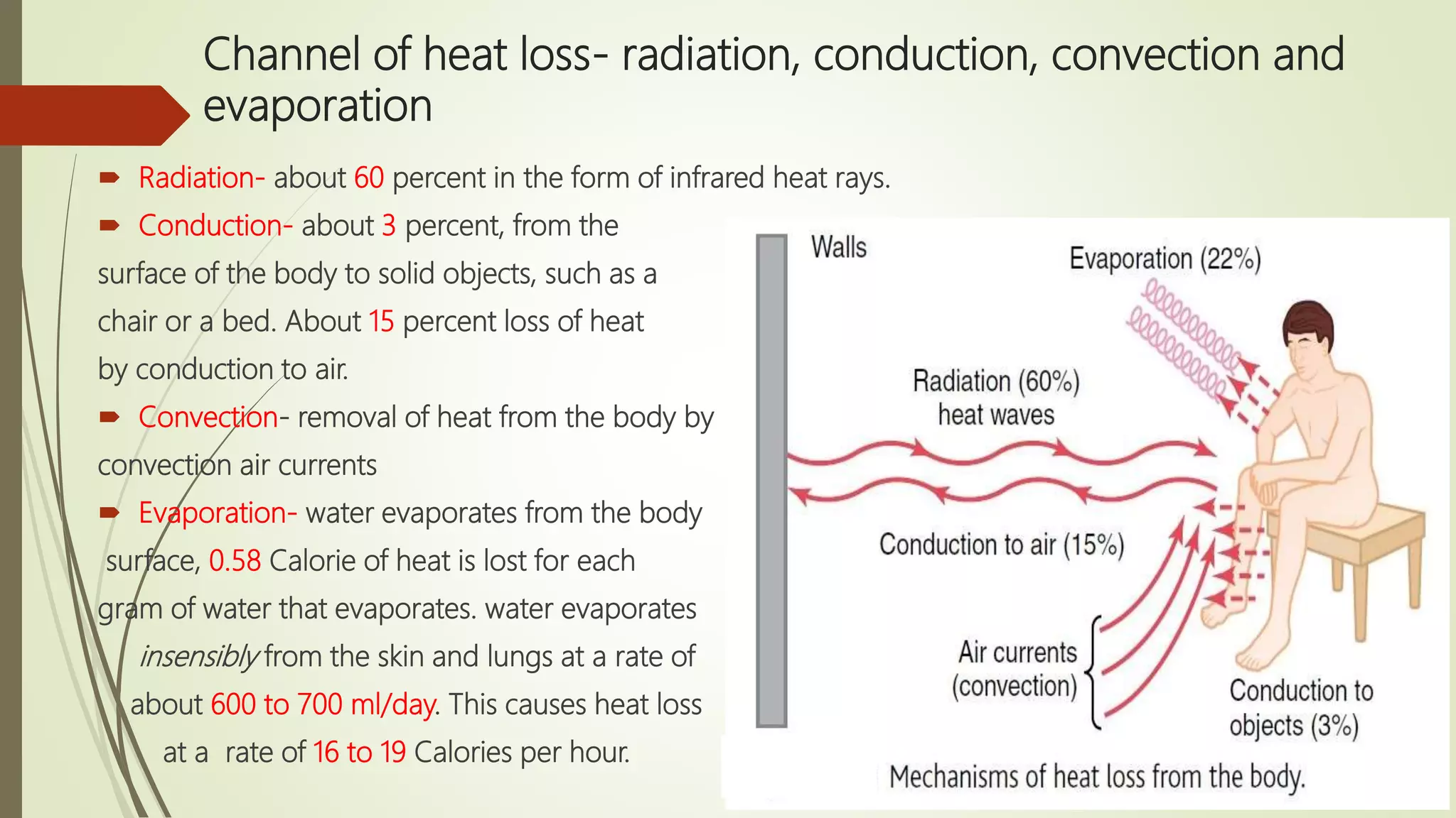 Regulation of temperature of Human body | PPTX