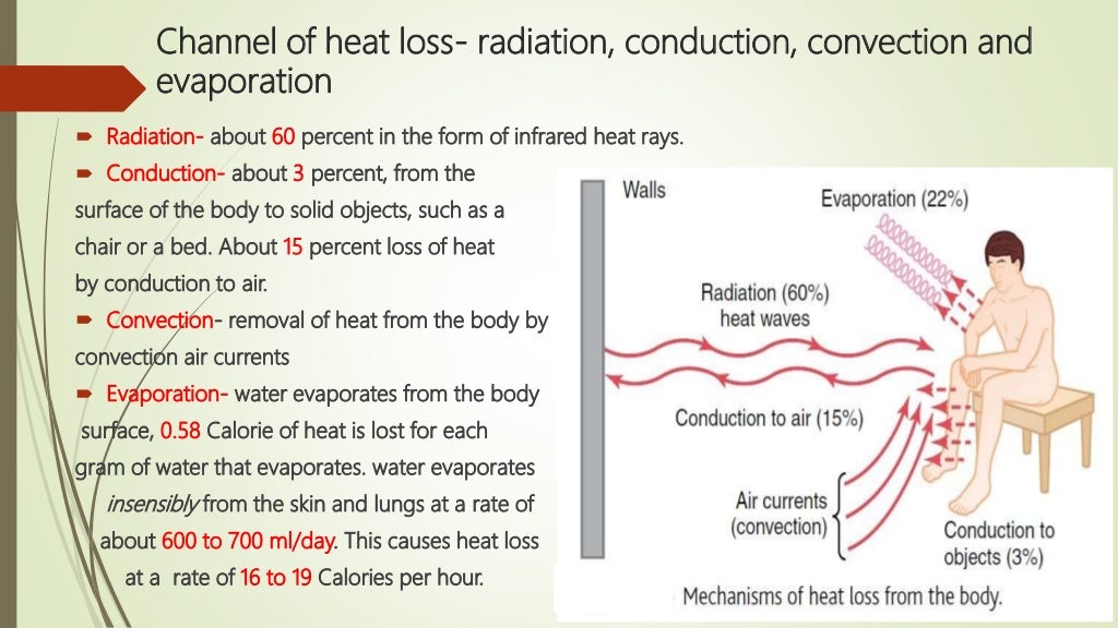 Regulation of temperature of Human body