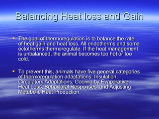 Balancing Heat loss and Gain The goal of thermoregulation is to balance the rate of heat gain and heat loss. All endotherms and some ectotherms thermoregulate. If the heat management is unbalanced, the animal becomes too hot or too cold.  To prevent this, animals have five general categories of thermoregulation adaptations: Insulation, Circulatory Adaptations, Cooling by Evaporative Heat Loss, Behavioral Responses, and Adjusting Metabolic Heat Production. 