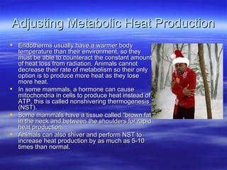 Adjusting Metabolic Heat Production Endotherms usually have a warmer body temperature than their environment, so they must be able to counteract the constant amount of heat loss from radiation. Animals cannot decrease their rate of metabolism so their only option is to produce more heat as they lose more heat. In some mammals, a hormone can cause mitochondria in cells to produce heat instead of ATP, this is called nonshivering thermogenesis (NST).  Some mammals have a tissue called “brown fat” in the neck and between the shoulders for rapid heat production. Animals can also shiver and perform NST to increase heat production by as much as 5-10 times than normal. 