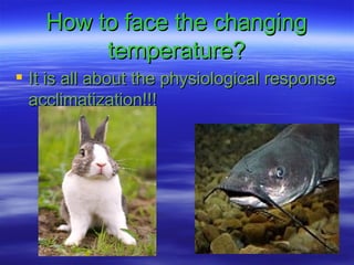 How to face the changing temperature? It is all about the physiological response acclimatization!!! 