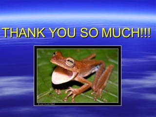 THANK YOU SO MUCH!!! 