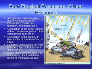 Four Physical Processes of Heat Exchange All organisms exchange heat by four physical processes: Conduction, convection, radiation, and evaporation. Conduction is the direct transfer of heat between objects in direct contact with each other. Convection is the transfer of heat by the movement of air or liquid. Radiation is the transfer of heat between objects that are not in direct contact Evaporation removes heat from the surface of a liquid that is losing its molecules as gas. 