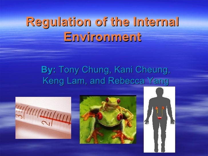 Regulation+Of+The+Internal+Environment+Presentation+Final