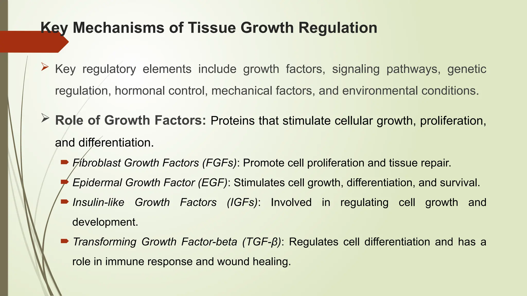 Regulation of Tissue Growth and mechanismsG6.pptx