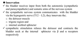 Regulation of urine concentration and volume ].pdf
