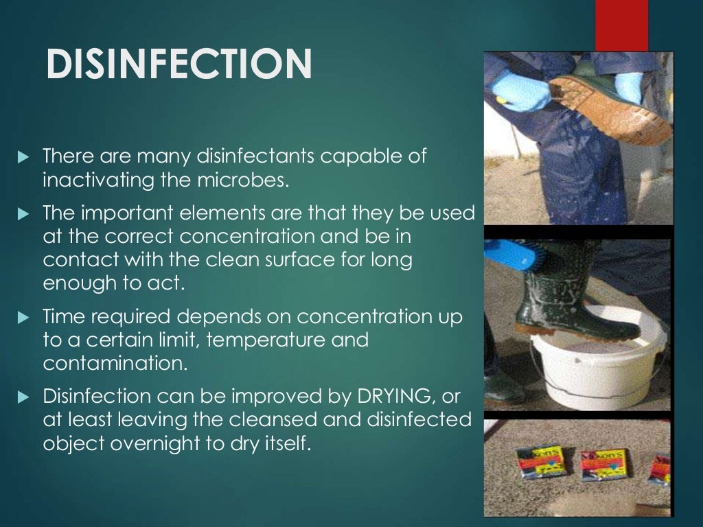 Regulations for safety in biological plants