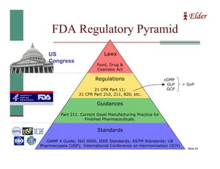 Regulation Pyramid Global Regulatory Aspects | PDF