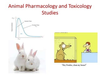 Animal Pharmacology and Toxicology
Studies
 