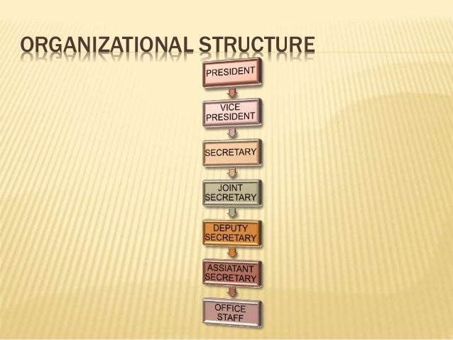 regulatory bodies and legal aspects in nursing nurses organizational chart