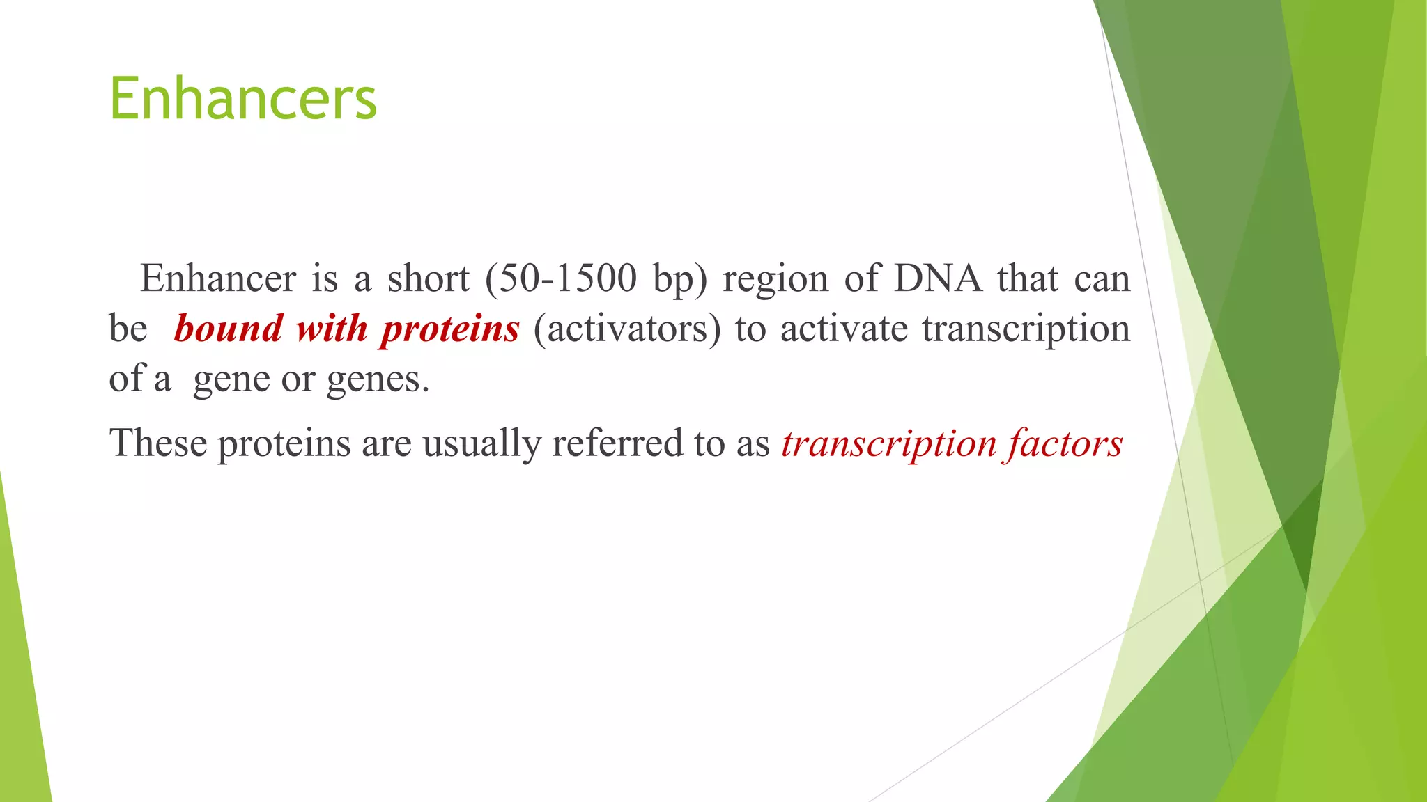 Regulatory elements of transcription.pptx