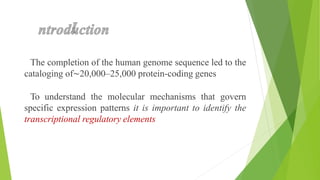 Regulatory elements of transcription.pptx