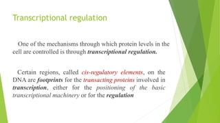 Regulatory elements of transcription.pptx
