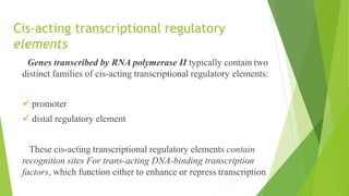 Regulatory elements of transcription.pptx