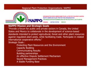 NAPPO Mission and Strategic Goals
“Provide a forum for public and private sectors in Canada, the United
States and Mexico to collaborate in the development of science-based
standards intended to protect agricultural, forest and other plant resources
against regulated plant pests, while facilitating trade. Participate in related
international cooperative efforts.”
Strategic Goals :
Protecting Plant Resources and the Environment
Capacity Building
Communicating Results
Building partnerships
An effective Dispute Settlement Mechanism
Sound Management Practices
A Stable Funding Base
Regional Plant Protection Organizations: NAPPO
 