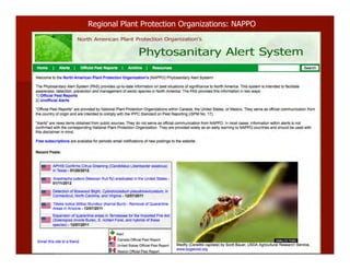 Regional Plant Protection Organizations: NAPPO
 