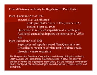 Federal Statutory Authority for Regulation of Plant Pests:
Plant Quarantine Act of 1912
enacted after dual disasters:
white pine blister rust ca. 1905 (eastern USA)
chestnut blight ca. 1906
Quarantine #1 restricted importation of 5 needle pine
Additional quarantines imposed on importation of Ribes
spp.
Plant Protection Act of 2000
Supercedes and repeals most of Plant Quarantine Act
Consolidates regulation of plant pests, noxious weeds,
biological control organisms
The PPA gives the Secretary of Agriculture, and through delegated authority,
USDA's Animal and Plant Health Inspection Service (APHIS), the ability to
prohibit or restrict the importation, exportation, and the interstate movement of
plants, plant products, certain biological control organisms, noxious weeds, and
plant pests.
 