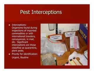 Pest Interceptions
!! Interceptions:
Organisms found during
inspections of imported
commodities or with
international travelers,
conveyances, in mail,
etc. Significant
interceptions are those
classified as quarantine,
plant pests.
!! Priority for identification:
Urgent, Routine
 
