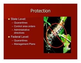 Protection
!! State Level:
–! Quarantines
–! Control area orders
–! Administrative
directives
!! Federal Level:
–! Quarantines
–! Management Plans
 