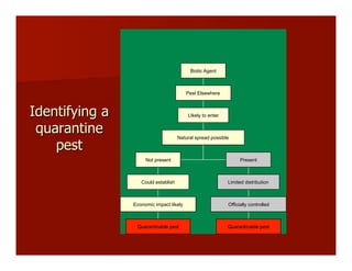 Identifying a
quarantine
pest
Biotic Agent
Pest Elsewhere
LIkely to enter
Natural spread possible
Not present Present
Could establish
Economic impact likely
Quarantinable pest
Limited distribution
Officially controlled
Quarantinable pest
 