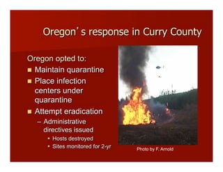 Oregon s response in Curry County
Oregon opted to:
!! Maintain quarantine
!! Place infection
centers under
quarantine
!! Attempt eradication
–! Administrative
directives issued
"! Hosts destroyed
"! Sites monitored for 2-yr Photo by F. Arnold!
 