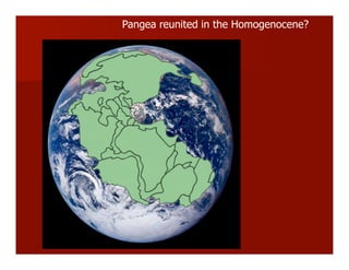 Pangea reunited in the Homogenocene?
 