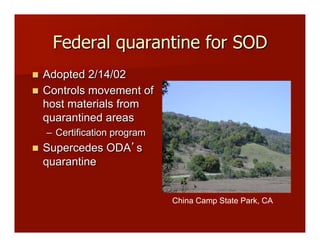 Federal quarantine for SOD
!! Adopted 2/14/02
!! Controls movement of
host materials from
quarantined areas
–! Certification program
!! Supercedes ODA s
quarantine
China Camp State Park, CA!
 