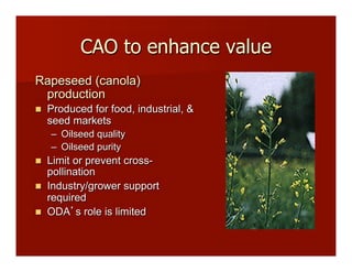 CAO to enhance value
Rapeseed (canola)
production
!! Produced for food, industrial, &
seed markets
–! Oilseed quality
–! Oilseed purity
!! Limit or prevent cross-
pollination
!! Industry/grower support
required
!! ODA s role is limited
 