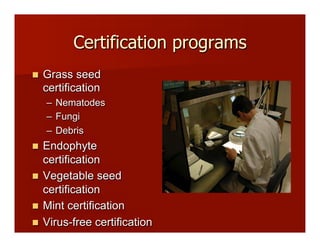 Certification programs
!! Grass seed
certification
–! Nematodes
–! Fungi
–! Debris
!! Endophyte
certification
!! Vegetable seed
certification
!! Mint certification
!! Virus-free certification
 