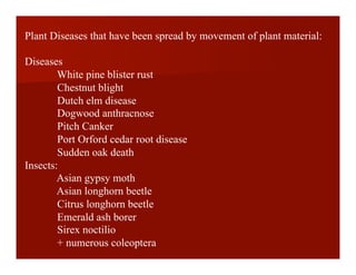 Plant Diseases that have been spread by movement of plant material:
Diseases
White pine blister rust
Chestnut blight
Dutch elm disease
Dogwood anthracnose
Pitch Canker
Port Orford cedar root disease
Sudden oak death
Insects:
Asian gypsy moth
Asian longhorn beetle
Citrus longhorn beetle
Emerald ash borer
Sirex noctilio
+ numerous coleoptera
 